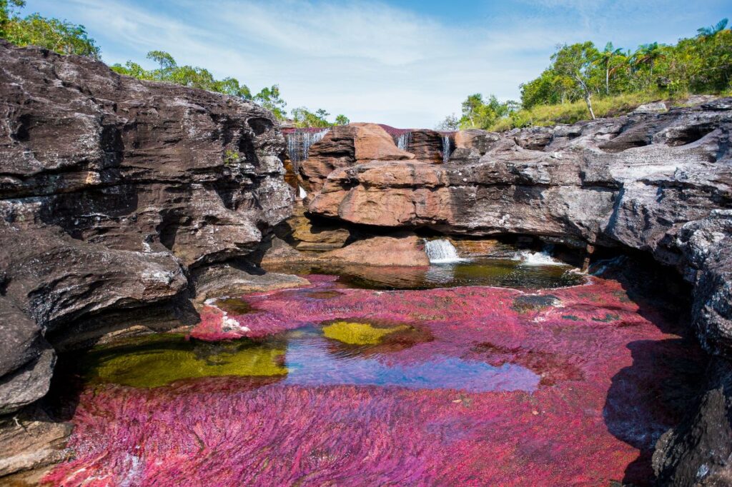 parques naturales colombia - caño cristales
