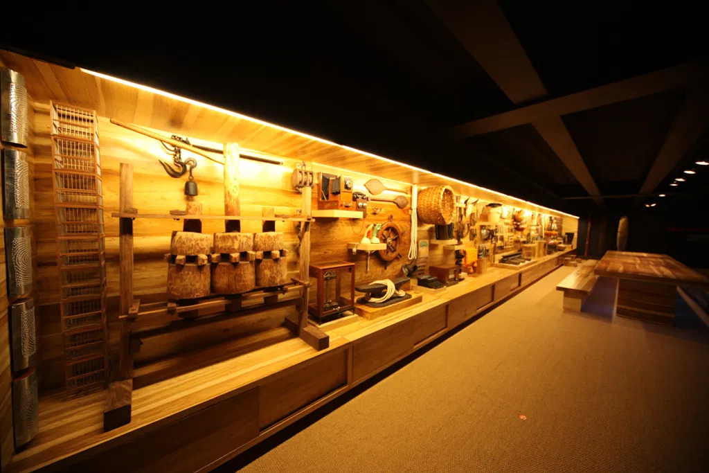 Ruta cultural por Barranquilla - Museo del caribe